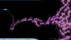 Midnight ant invasion insect