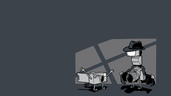 Midnight The Flasher