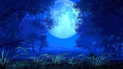 Midsummer night big moon