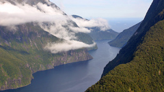 Milford sound modifie high