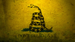 Military Flags USA Navy