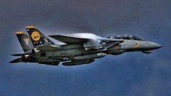 Military tomcat jet aircraft