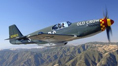 Military World War II