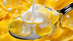 Milk cereal Breakfast