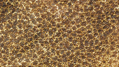 Milk pattern Textures abstract