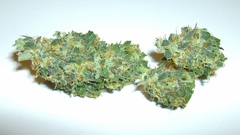 Mine weed high Resolution