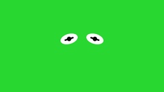 Minimalistic artwork kermit the frog