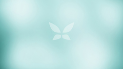 Minimalistic Butterflies