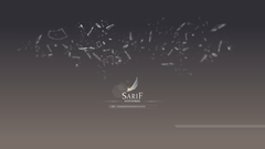 Minimalistic deus EX human