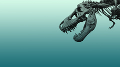 Minimalistic Dinosaurs Tyrannosaurus Rex