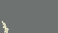 Minimalistic Grenades