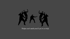 Minimalistic ninjas ninjas cant