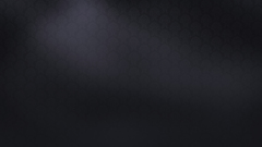 Minimalistic patterns damask