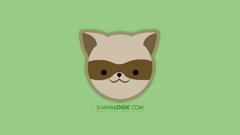 Minimalistic raccoons