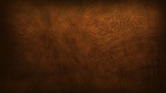 Minimalistic Textures elephants