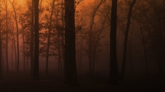 Minor all right experience delay going might