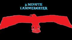 Minute lammergeier high