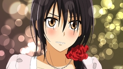 Misaki ayuzawa kaichou wa