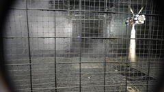 Mkvhover decmkv mda Mil