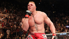 Mma ufc brock lesnar