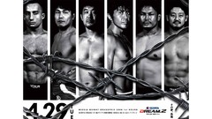 Mma ufc PRIDE Fighting Championship Dream fc