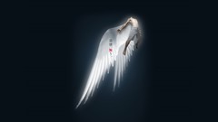 Mma ufc PRIDE Fighting Championship Dream fc