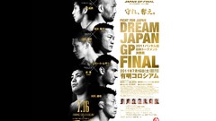 Mma ufc PRIDE Fighting Championship Dream fc