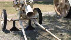 Mmlg Jason long high