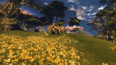 Mmorpg video games multiscreen composite firefall first person 