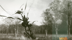 Mnd abstract patterns nature