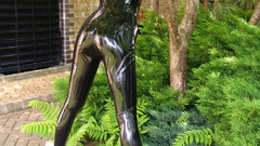 Model She Taylor dsc shinyangels