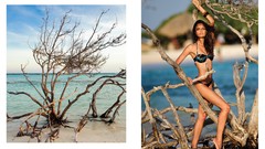 Models fashion model Barbara Fialho