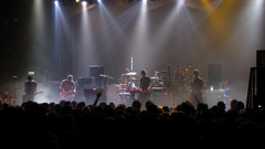 Modest mouse preferably Music