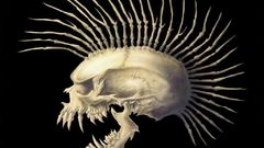 Mohawk The Exploited