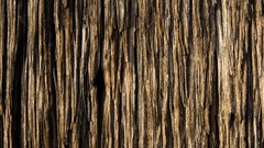 Mon nature Wood bump