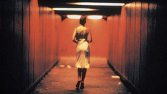 Monica Bellucci Irreversible