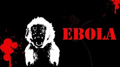 Monkeys ebola