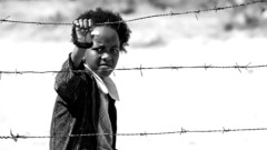 Monochrome barbed wire