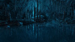 Monochrome dear esther