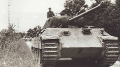 Monochrome historic pantera