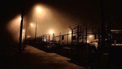 Monochrome industrial plants