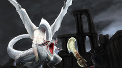 Monster Hunter White Dragon