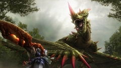 Monster Hunter Wyvern
