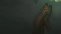 Monsters sketches fantasy art