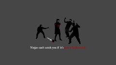 Monty Python and the Holy Grail funny ninjas cant catch you if