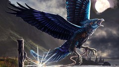 Moon Birds artwork by sunimo