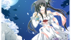 Moon dress long hair anime girls black hair twintails hair 