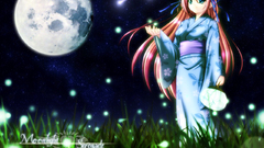 Moon fireflies Anime Japanese