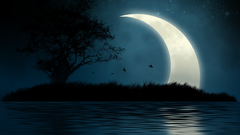 Moon Island shining mystic jjcheddar