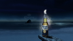 Moon night beach tropical